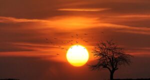 জীবনে পরিবেশের প্রভাব